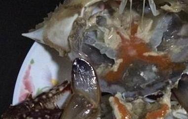 如何腌制梭子蟹（如何腌制梭子蟹盐比例是多少）