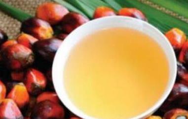 棕榈油的功效与作用及副作用 棕榈油的功效与作用及食用方法