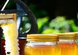吃蜂蜜会减肥吗 吃蜂蜜会不会减肥