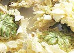 黄山贡菊的功效与作用 黄山贡菊的功效与作用及禁用