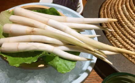 象牙菜种植技术有哪些，象牙菜好养吗，怎么养殖