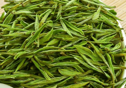 安吉白茶的种植技术要点，安吉白茶种植方法总结