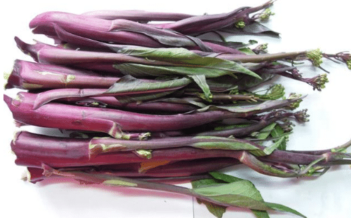 紫菜苔如何追肥，种植方法技巧简介（红菜苔如何施肥）