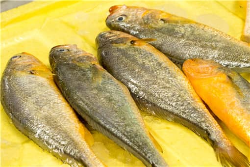 2021黄鱼价格多少钱一斤 黄鱼多少钱一斤2020