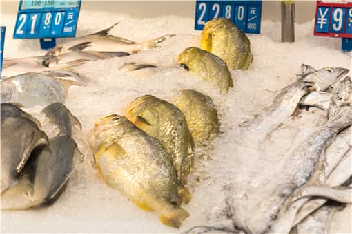 黄鱼价格多少钱一斤