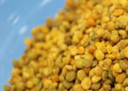 荞麦花粉的功效与作用 荞麦花粉的功效与作用百度百科