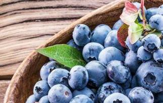 杜松浆果和蓝莓的区别（杜松浆果和蓝莓的区别）