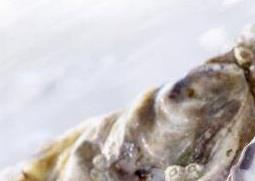 海蛎子和生蚝的区别 海蛎子和生蚝的区别图