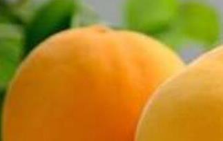 新鲜黄桃的功效与作用 新鲜黄桃的功效与作用禁忌