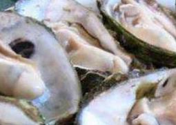 牡蛎怎么做好吃 牡蛎怎么做好吃又简单蒸多长时间