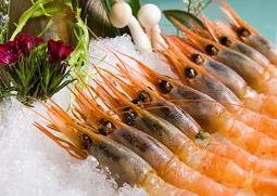 北极甜虾的营养价值 北极甜虾的营养价值和功效