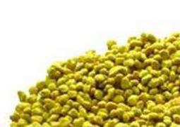 油菜花粉的功效与作用及食用方法 油菜花粉的功效与作用及食用方法图片