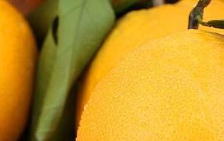 橙子皮的功效与作用 橙子皮的功效与作用以及禁忌