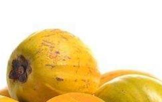 蛋黄果的功效和食用禁忌 蛋黄果的功效和禁忌蛋黄果