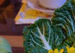 盆栽白菜花的养殖方法和步骤教程 花盆种白菜的方法