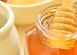 益母草蜜的功效与作用 益母草蜂蜜的功效与作用蜜的作用与功效