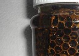 黑蜂蜂胶的功效与作用（黑蜂胶的功效是什么）