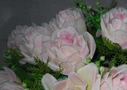 珍珠玫瑰花如何养 珍珠玫瑰盆栽