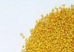 玉米花粉的功效与作用（玉米花粉的功效与作用）