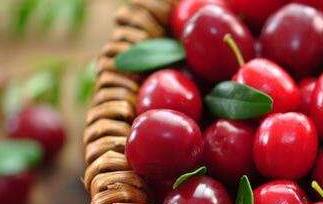红梅和蔓越莓的区别 红莓和蔓越莓的区别