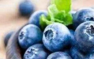 杜松浆果和蓝莓区别 杜松浆果是蓝莓吗