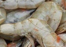海虾的营养价值与功效 海鲜虾的营养功效