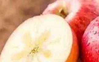 阿克苏苹果的功效与作用 阿克苏苹果的营养价值及功效
