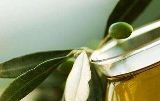 希腊橄榄油的营养价值与功效（希腊橄榄油的营养价值与功效是什么）