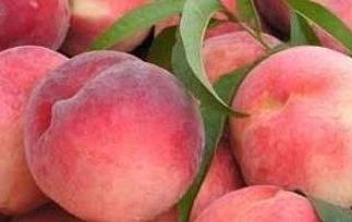 桃子的副作用 桃子的副作用有哪些