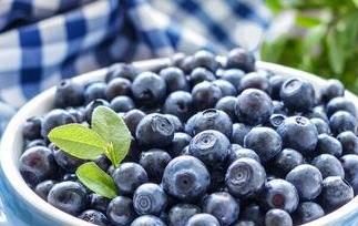 怎样选购蓝莓 怎样选购蓝莓苗
