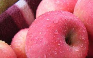 苹果的食疗功效与用法 苹果的食疗作用