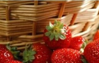 菠萝莓的营养价值和功效 菠萝莓的营养价值和功效与作用