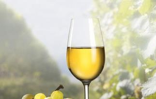 自制葡萄酒的做法 自制葡萄酒的做法大全