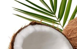 椰子的功效与作用 椰子的功效与作用及食用方法