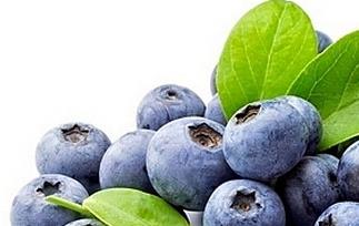 蓝莓的营养价值与功效作用（蓝莓的营养价值与功效作用及禁忌）