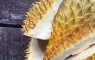 榴莲壳的吃法与功效 榴莲壳的营养价值 榴莲壳怎么吃