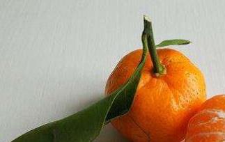 芦柑和橘子的区别 芦柑和橘子的区别图片