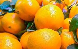 橙子有哪些功效与作用 橙子有哪些功效与作用图片