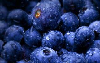 蓝莓的功效与作用（蓝莓的功效与作用及营养价值）