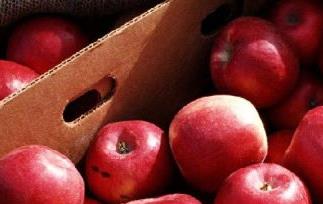 苹果的营养成分和药用价值 苹果的营养成分及功效与作用