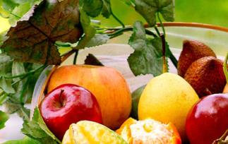 哪些水果吃过量会致病 水果吃过量后会引起什么疾病