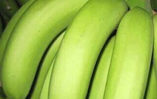 生香蕉如何催熟 生香蕉如何催熟最快