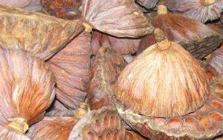 莲蓬壳的功效与作用及药用价值 莲蓬壳有什么功效和作用