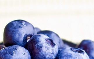 蓝莓怎么吃最有营养（蓝莓怎么吃最有营养视频）