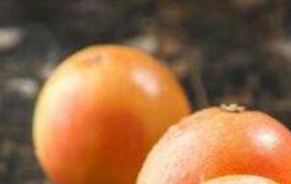 葡萄柚的功效与作用 葡萄柚的功效与作用禁忌是什么