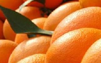 奉节脐橙的功效与作用 奉节脐橙的好处