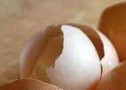 鸡蛋壳如何去除水壶的水垢 鸡蛋壳如何去除水壶的水垢小妙招