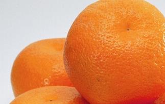 橘子和桔子的区别 橘子和桔子的区别是