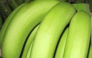 如何鉴别催熟香蕉（如何鉴别催熟香蕉的方法）