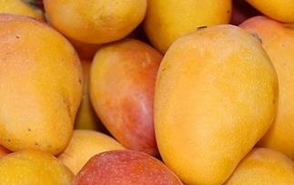 怎么吃芒果会过敏 吃芒果会过敏怎么办